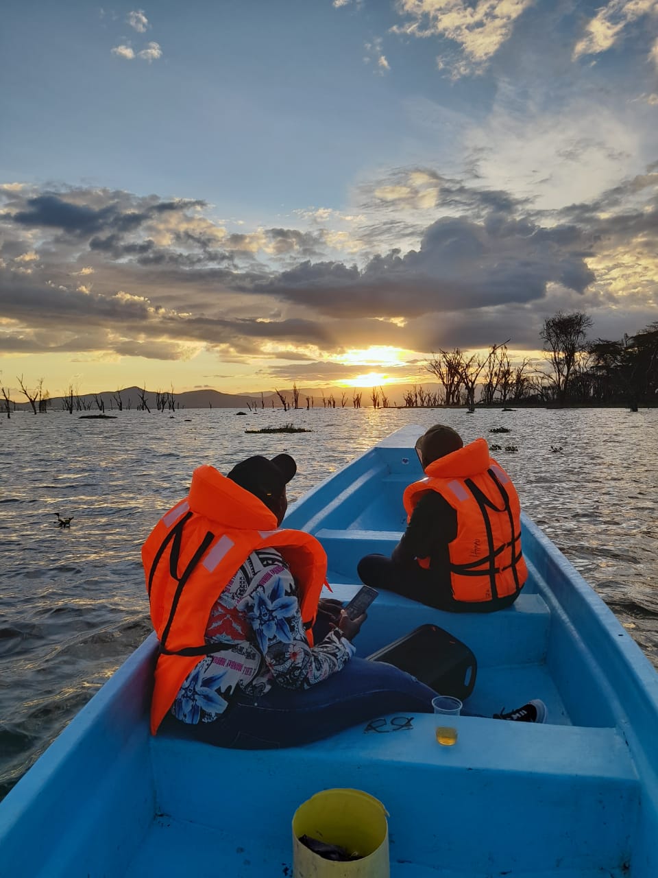 Boat Safaris